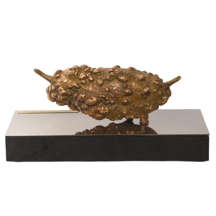 Author's bronze sculpture "Unidentified object #2"